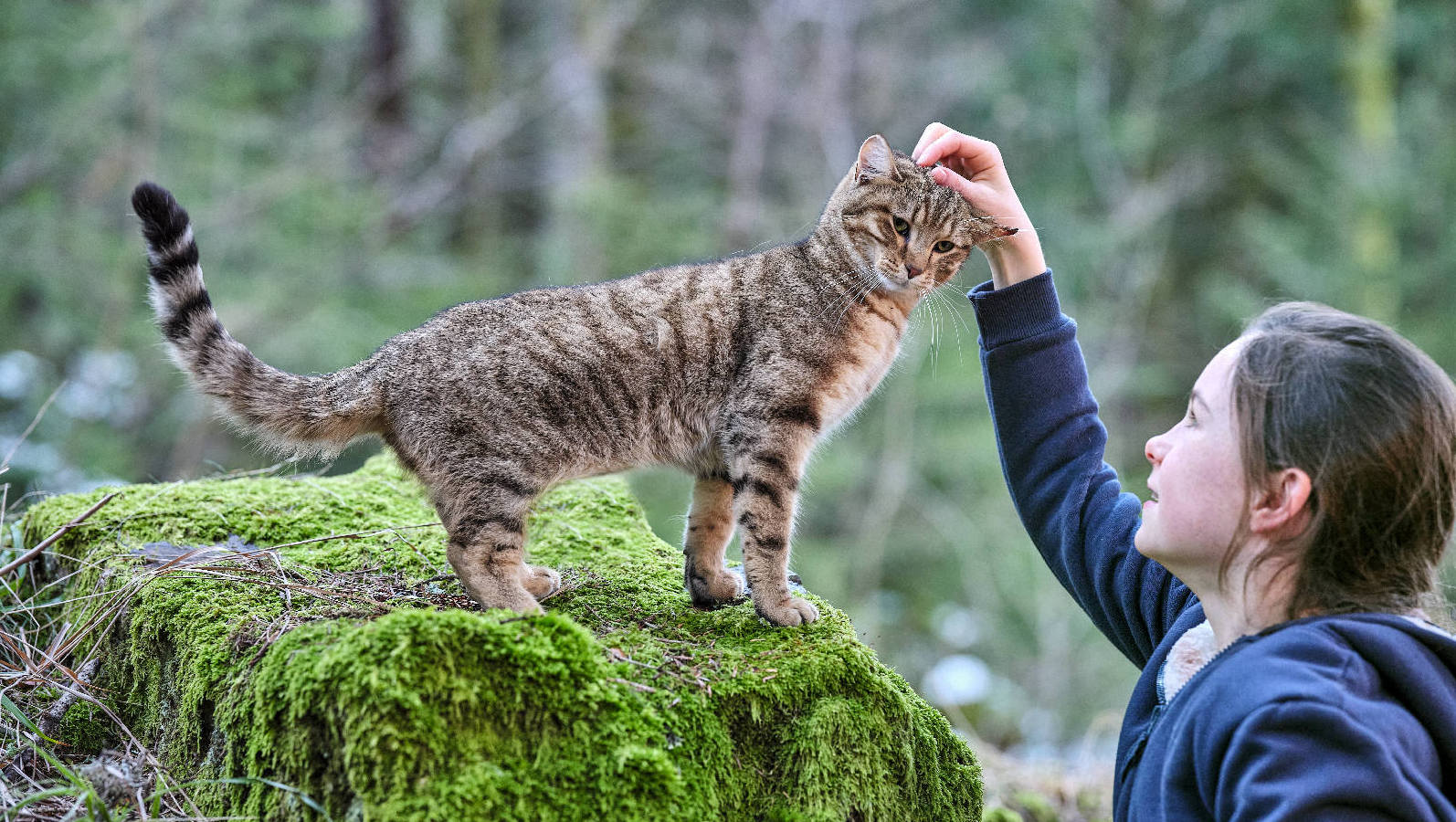 6. Mon chat et moi, la grande aventure de Rroû © Olivier ToussaintRED